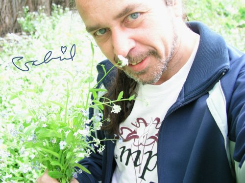 dany dnaiel gabriel blogue fleur des champs