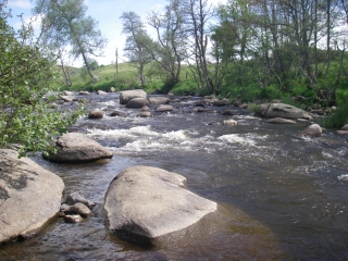 Lozère 3ème jour: Le Bes - Un coin de Paradis 15436941364651f3deba1adimgp0311