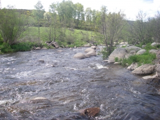 Lozère 3ème jour: Le Bes - Un coin de Paradis 19224683944651f41dc2fe1imgp0310