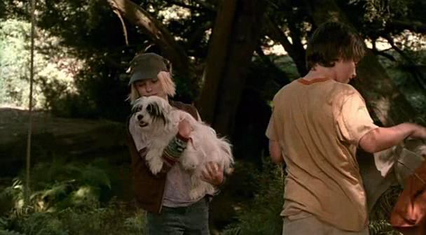 Le Secret De Terabithia Streaming Vf Allo-Image : Le secret de terabithia avi 00000
