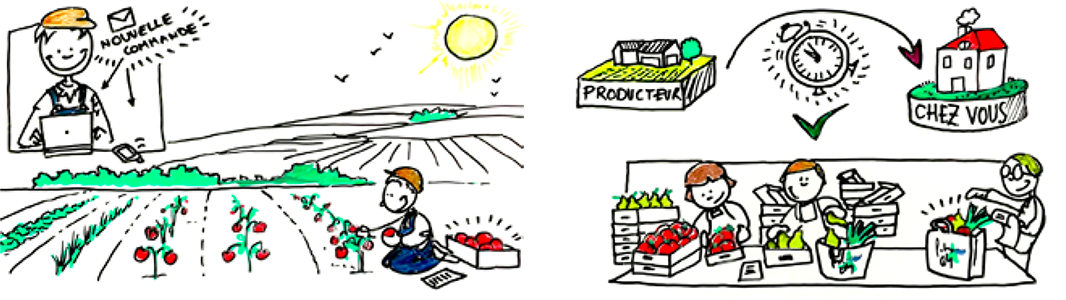 Les circuits courts de Potager City