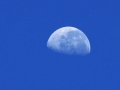Lune plein jour plus belles photos astronomie 298861