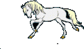 Gif licorne qui galope