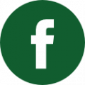 Facebook logo button