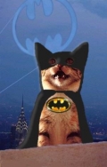 Batman chat