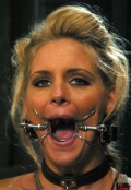 Ring gag