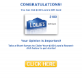 Lowes survey