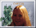 206170 chatonfeli