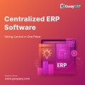 Centralized erp software