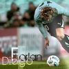 Forlan diego icon