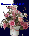 Pot de fleurs sapho