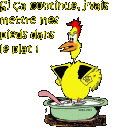 1pouleaupotpiredsdsplat