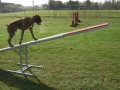 Bandi agility2