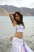 Ileana28729